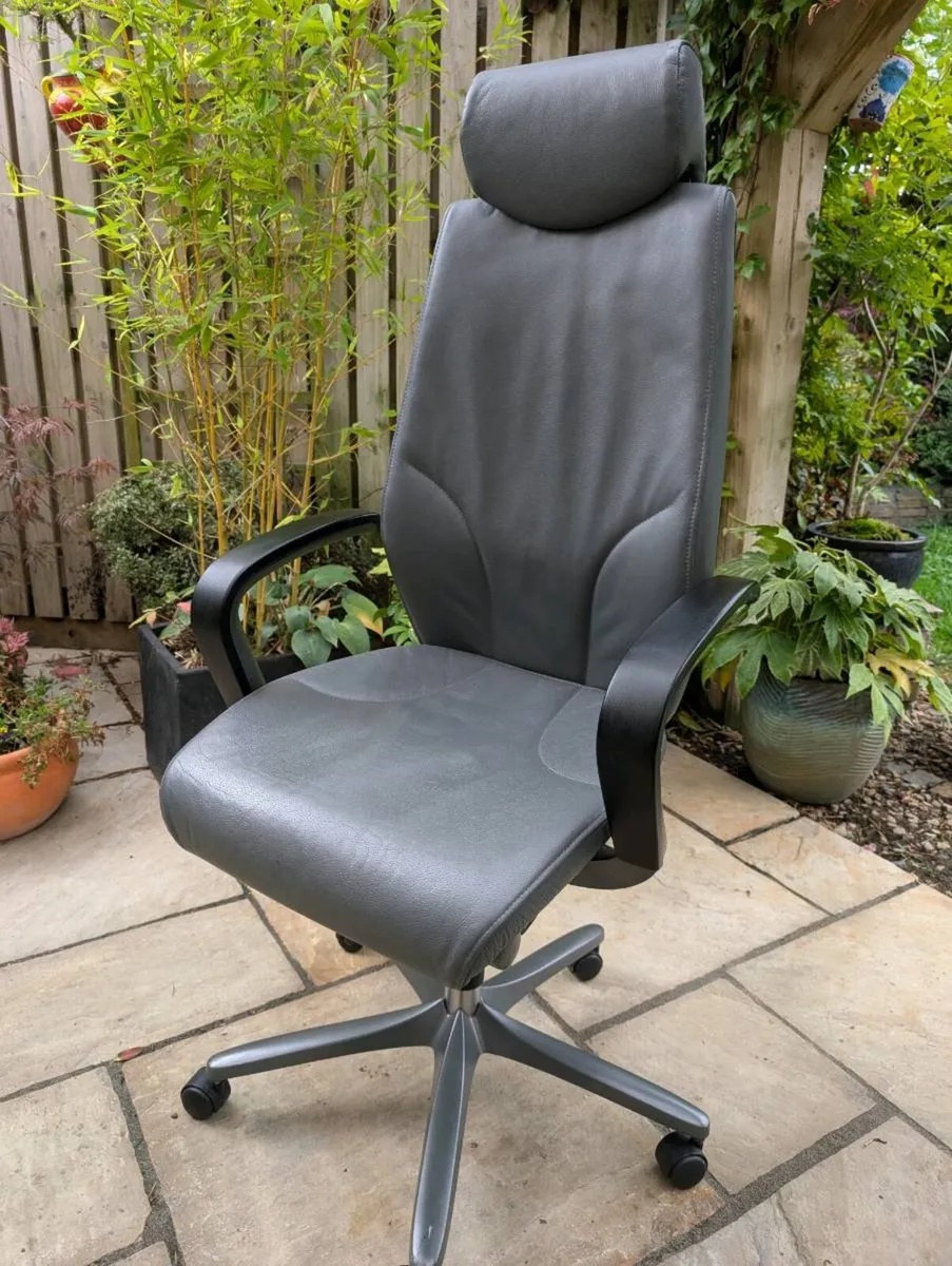 Ergonomic office chair - Image 1