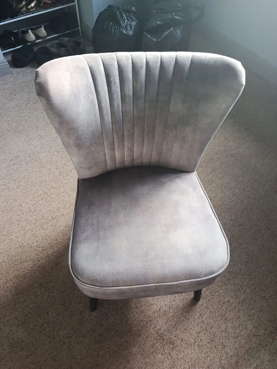 Grey Plush Velvet Chair - Image 1