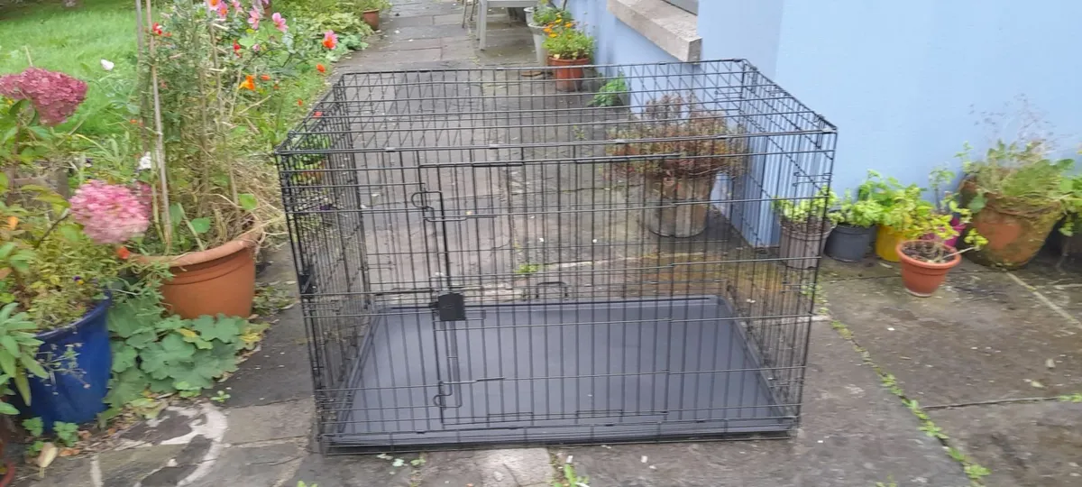 Metal Dog crates - Image 4