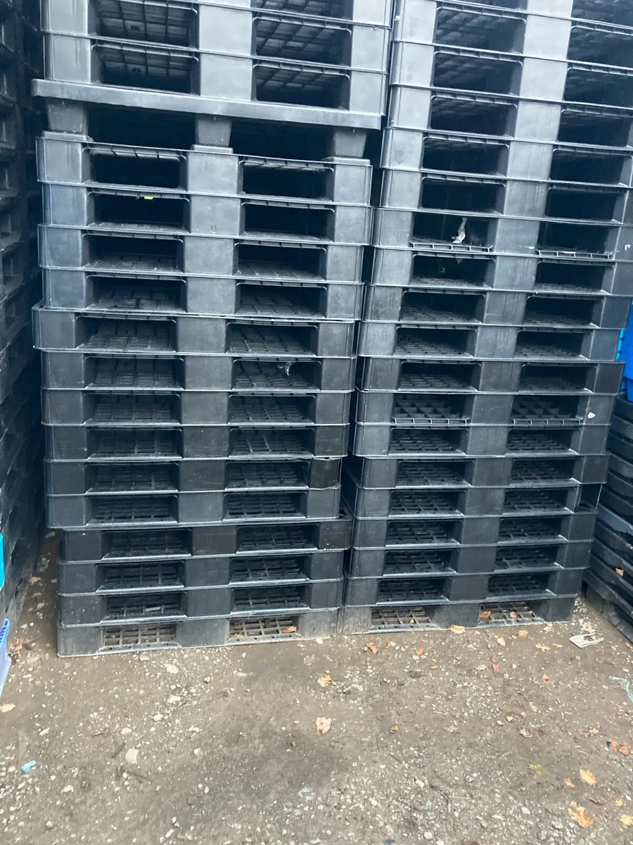 Plastic pallets - Image 1