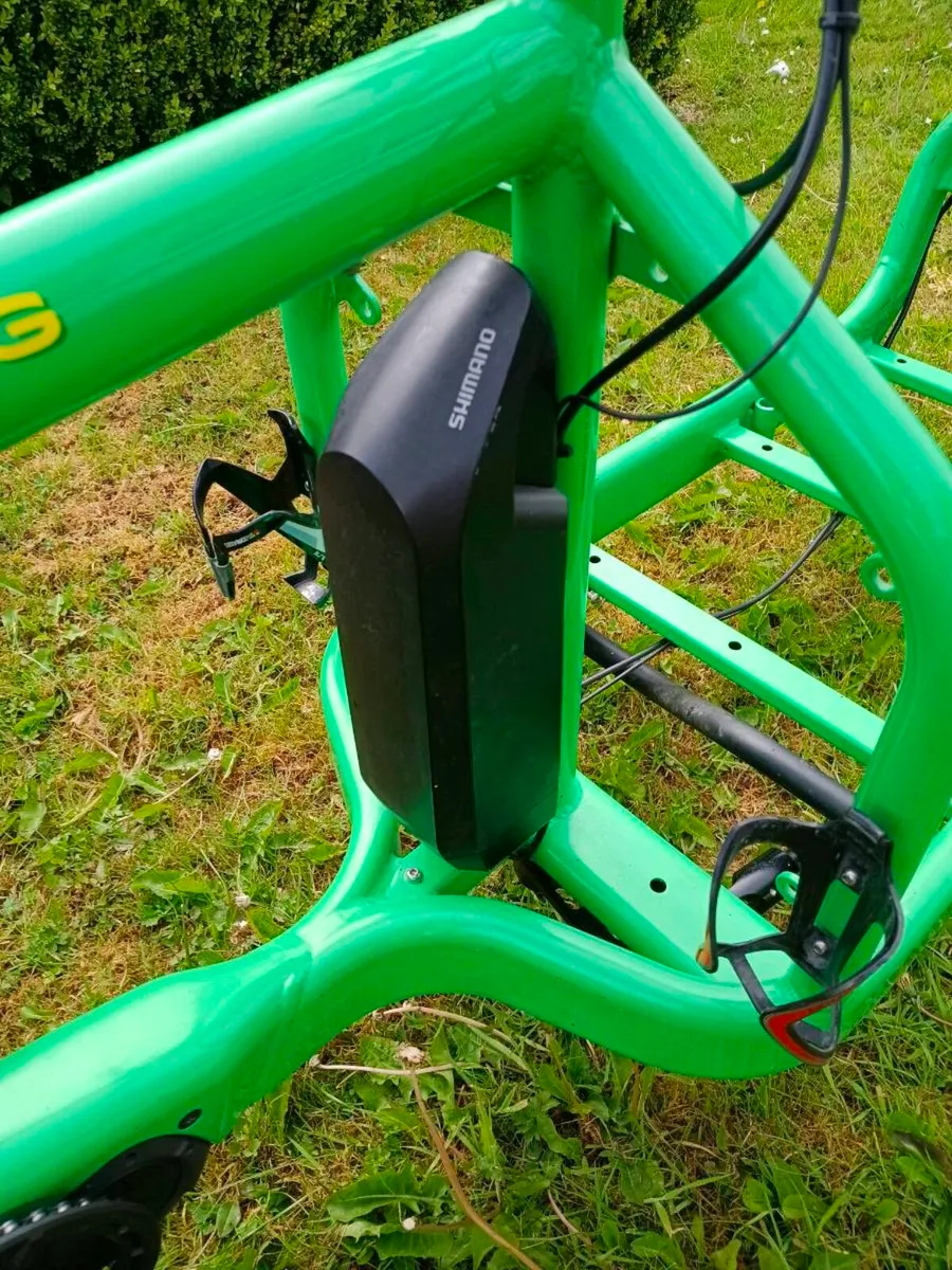 Electric Cargo Bike - Image 3