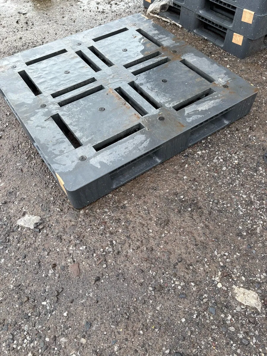 Plastic pallets - Image 2