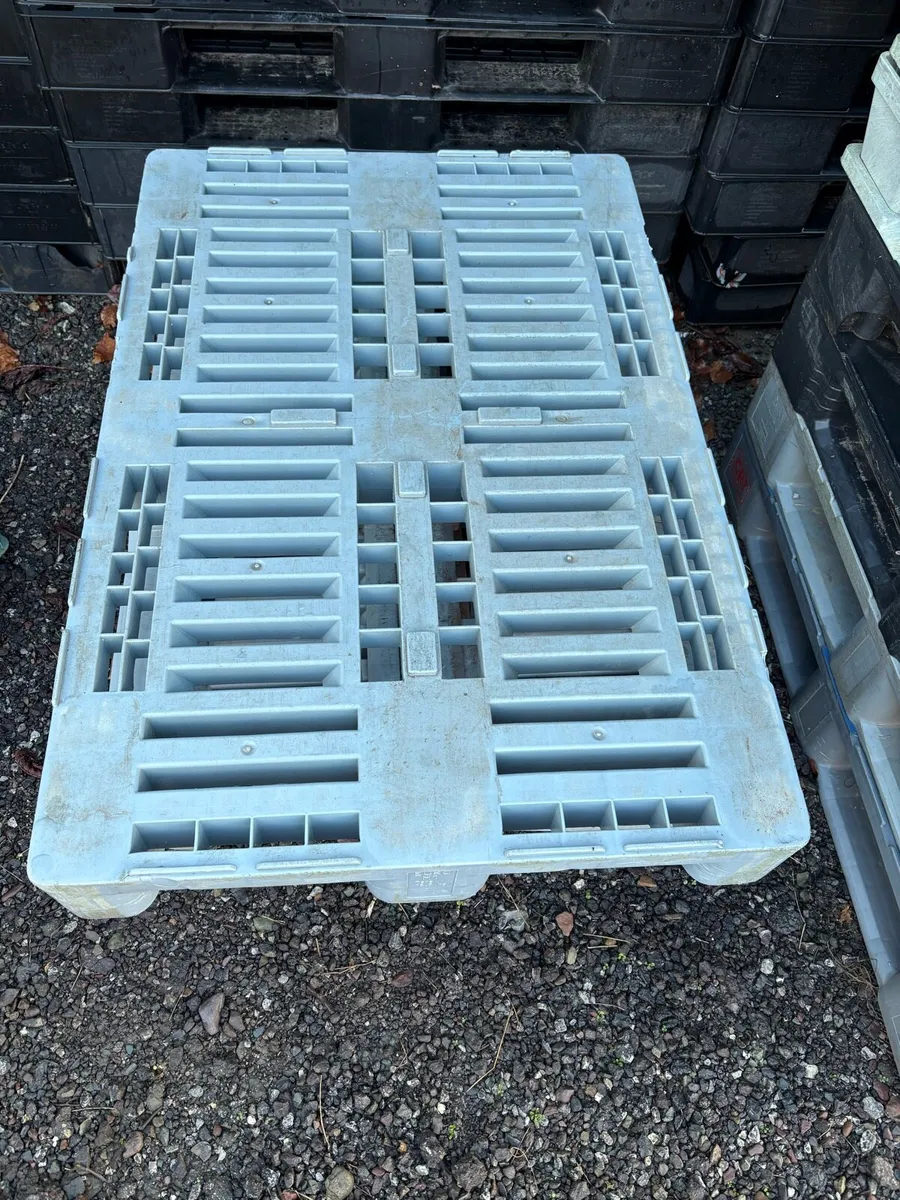 Plastic pallets - Image 4