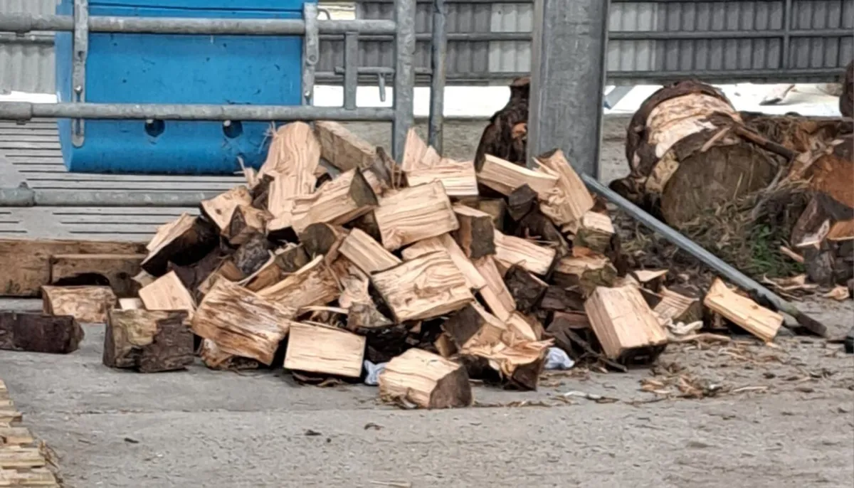 Timber - Image 2