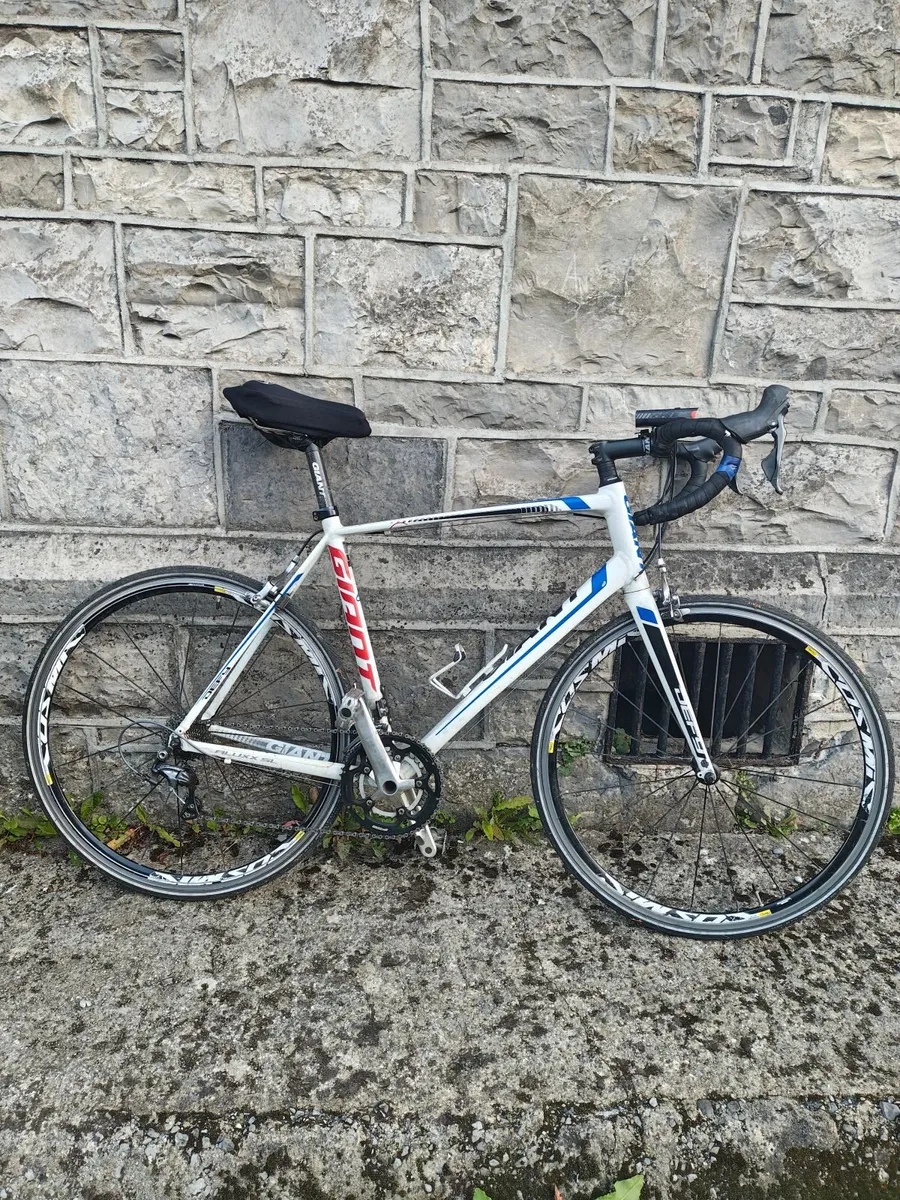 Giant Bicycle - Image 3