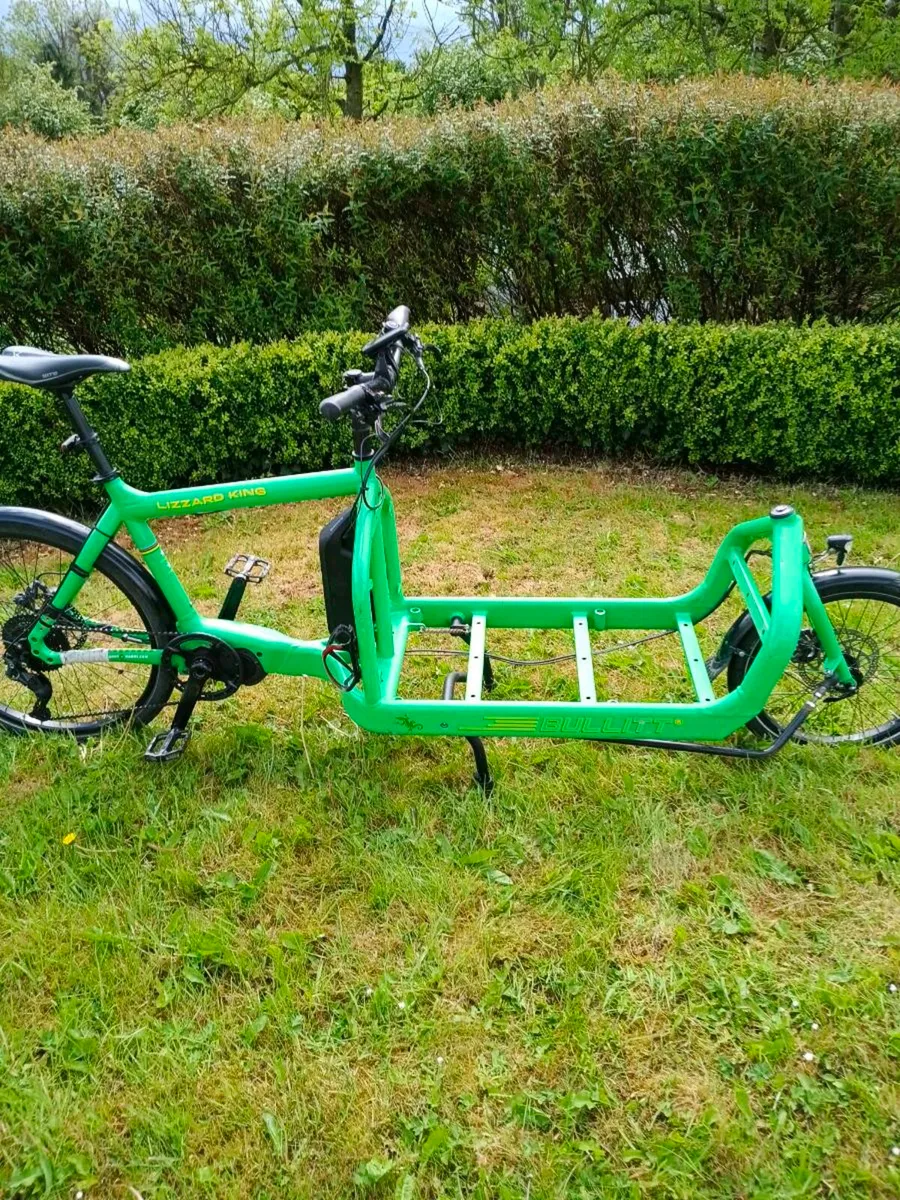 Electric Cargo Bike - Image 2
