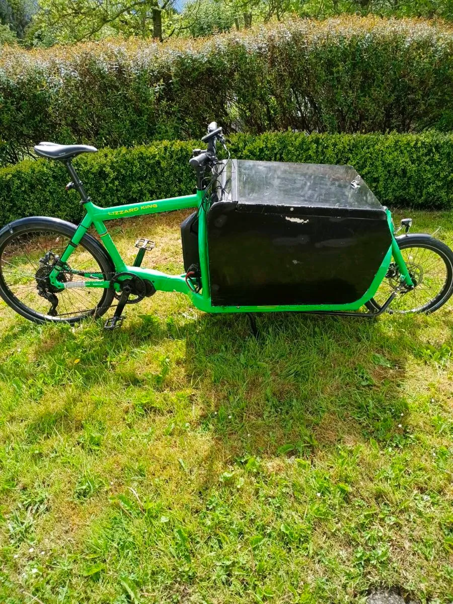 Electric Cargo Bike - Image 1