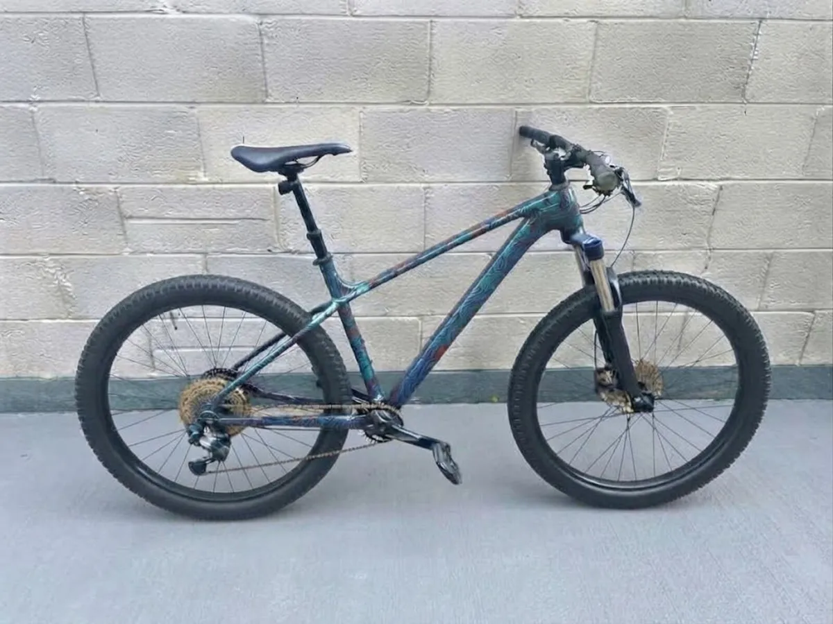 Custom Mountain bike