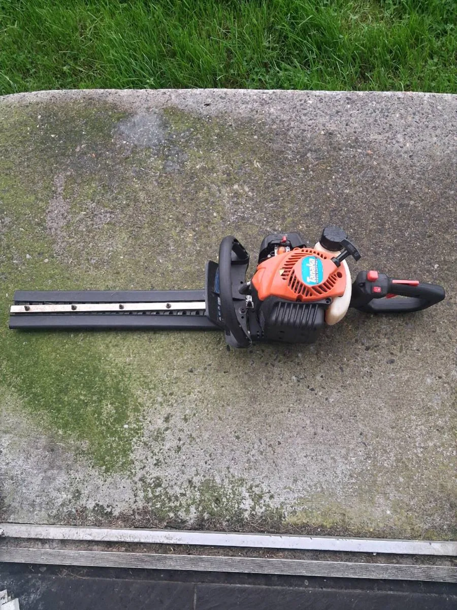 Hedge trimmer. Still blower. Garden benches x2 - Image 1