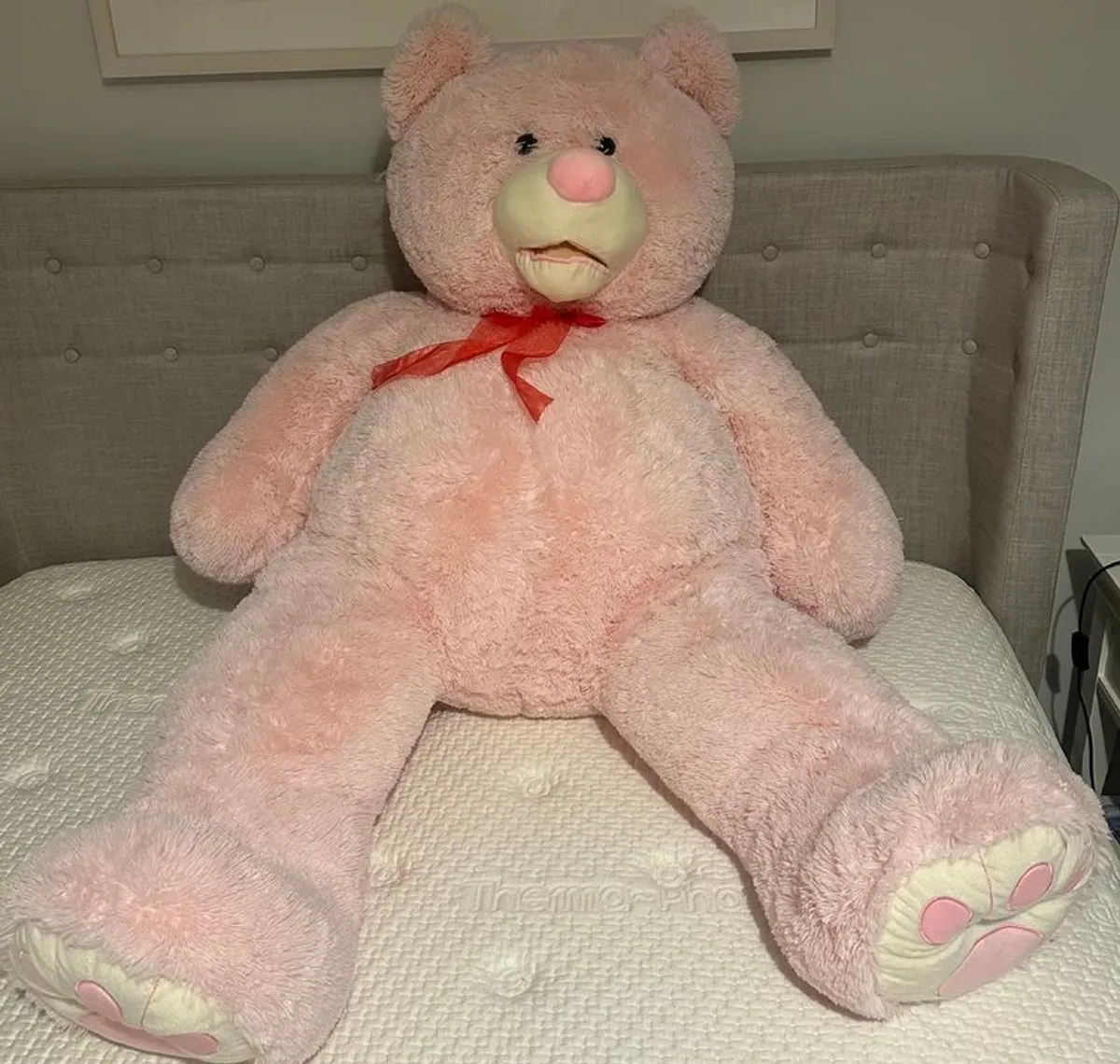 Free: Giant Teddy