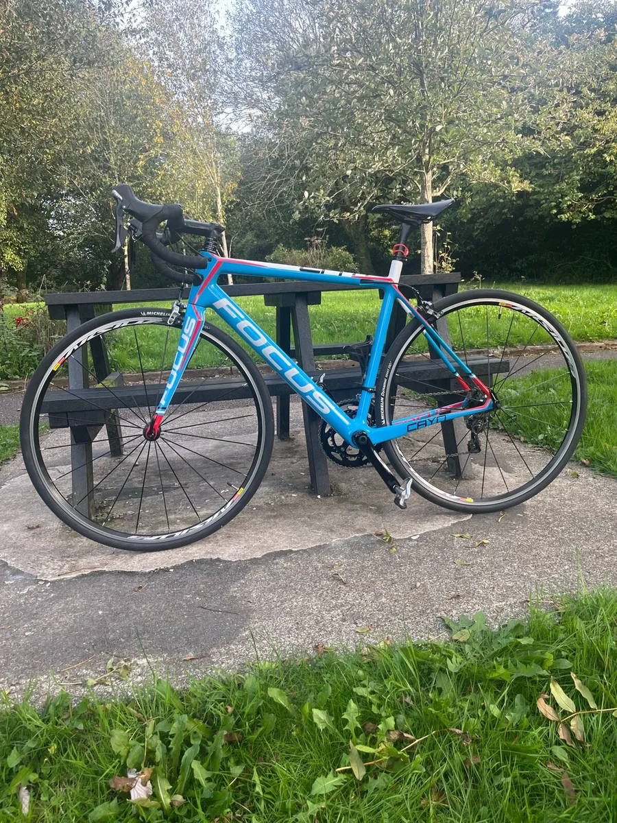 Focus Cayo Carbon Road bike. - Image 1