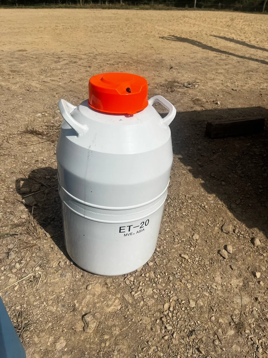 Frozen Semen Tank - Image 1