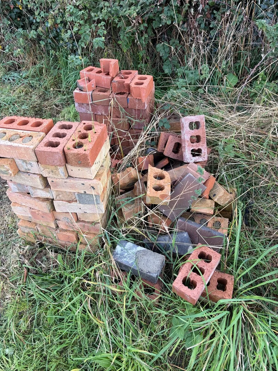 red bricks €50 bundle - Image 2