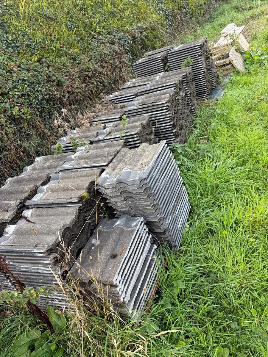 roof tiles - Image 1