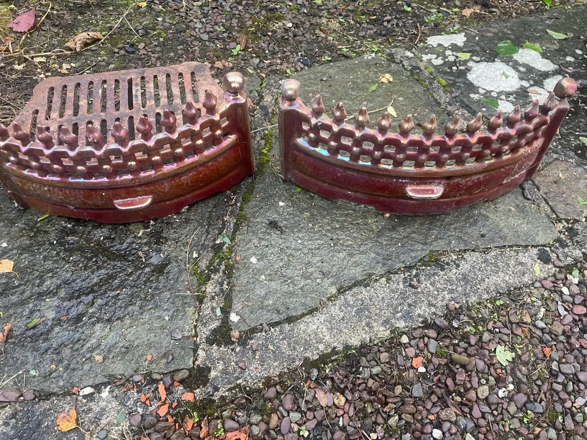 Fire grate and front - Image 1