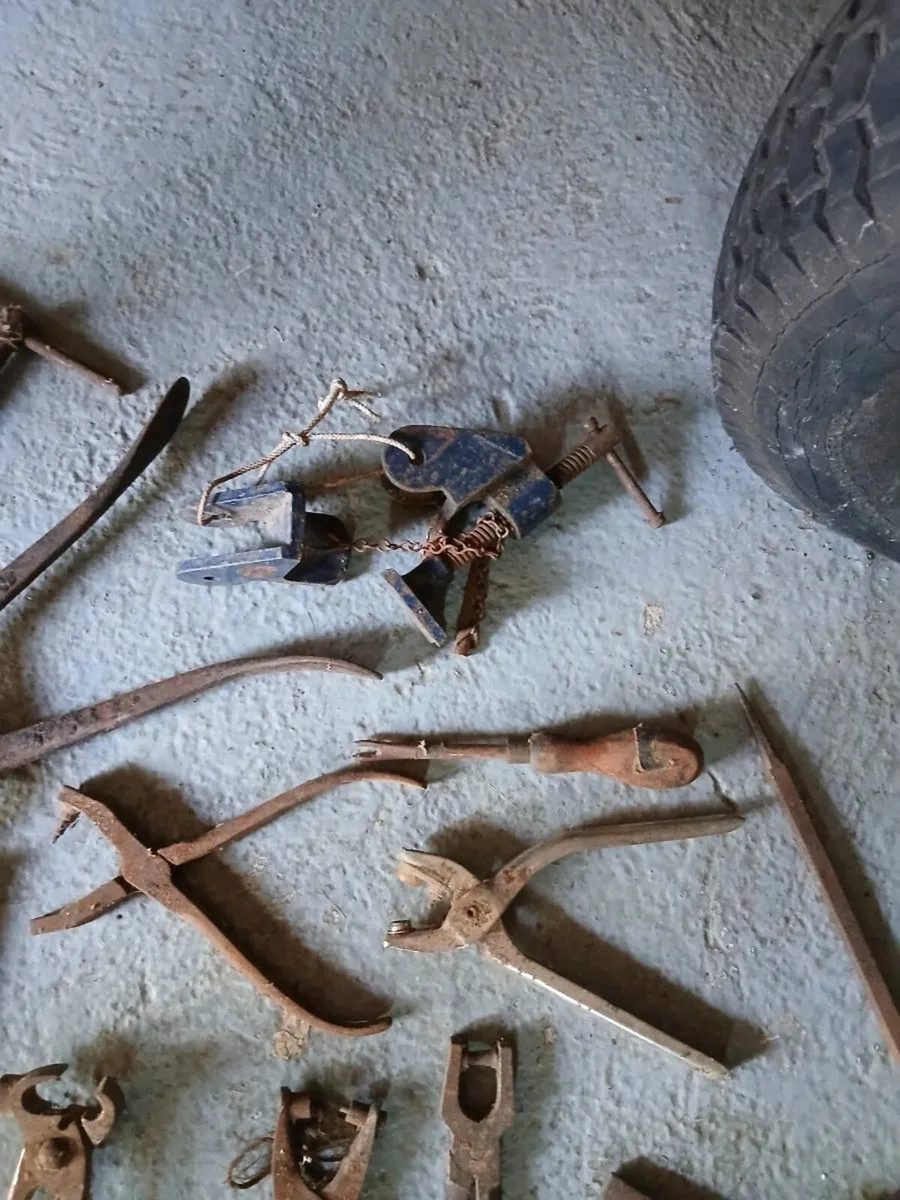 Old tools - Image 3