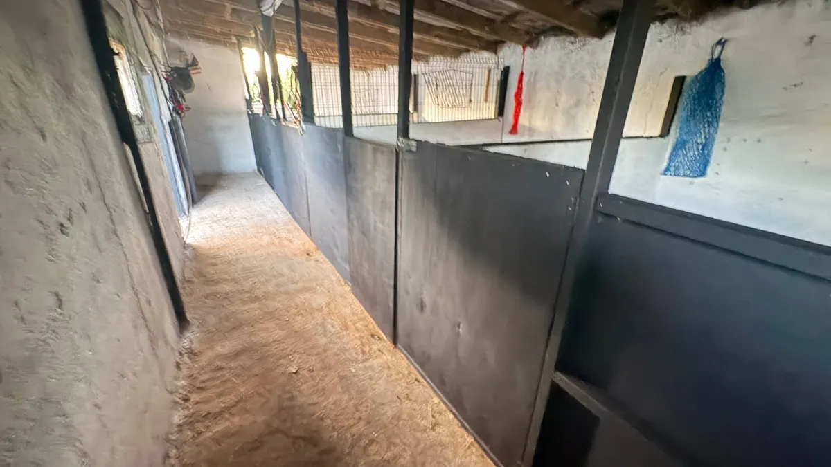 stables to rent - Image 1