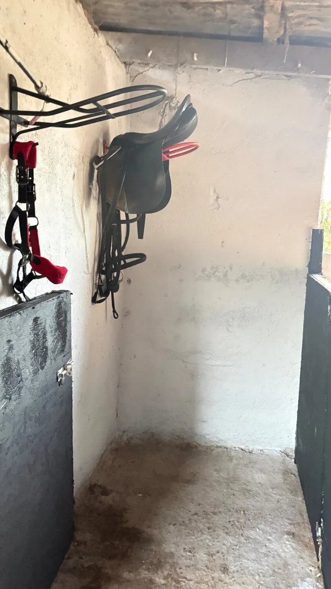 stables to rent - Image 3