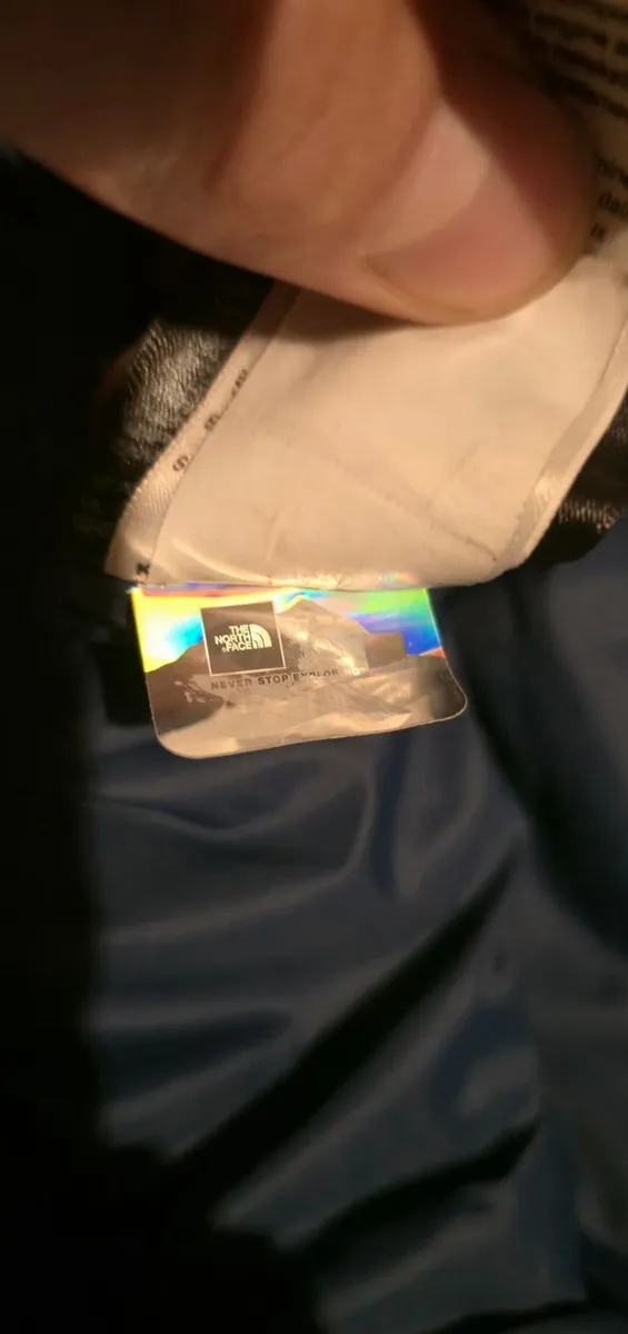 The North Face Diablo 700 Down Hoodie Jacket - Image 1