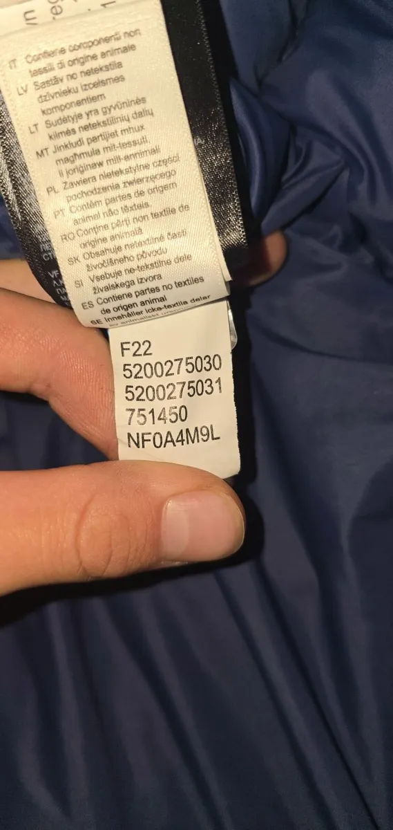 The North Face Diablo 700 Down Hoodie Jacket - Image 4