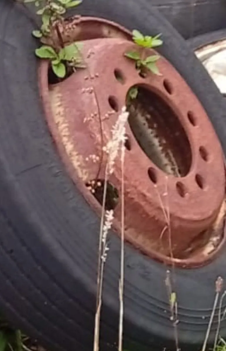 Job lot Wheels and  tyres - Image 1