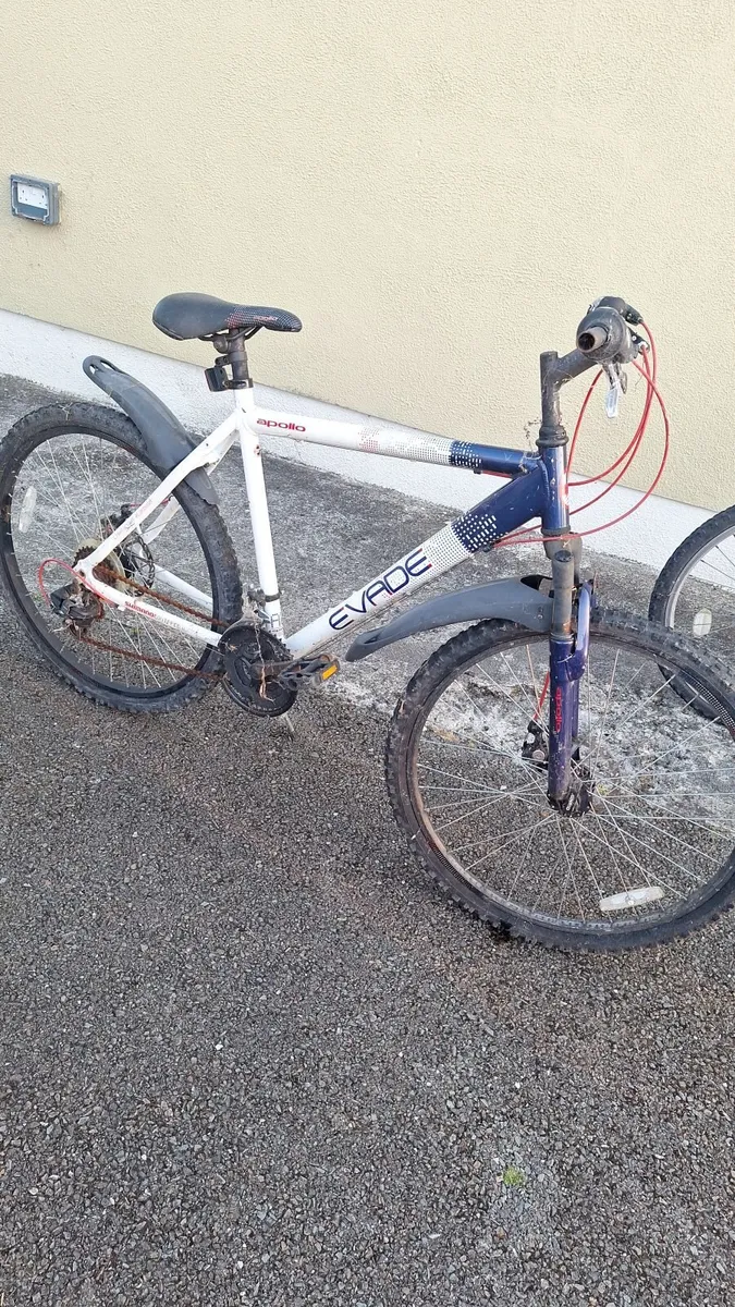 Male Bicycles - Image 1