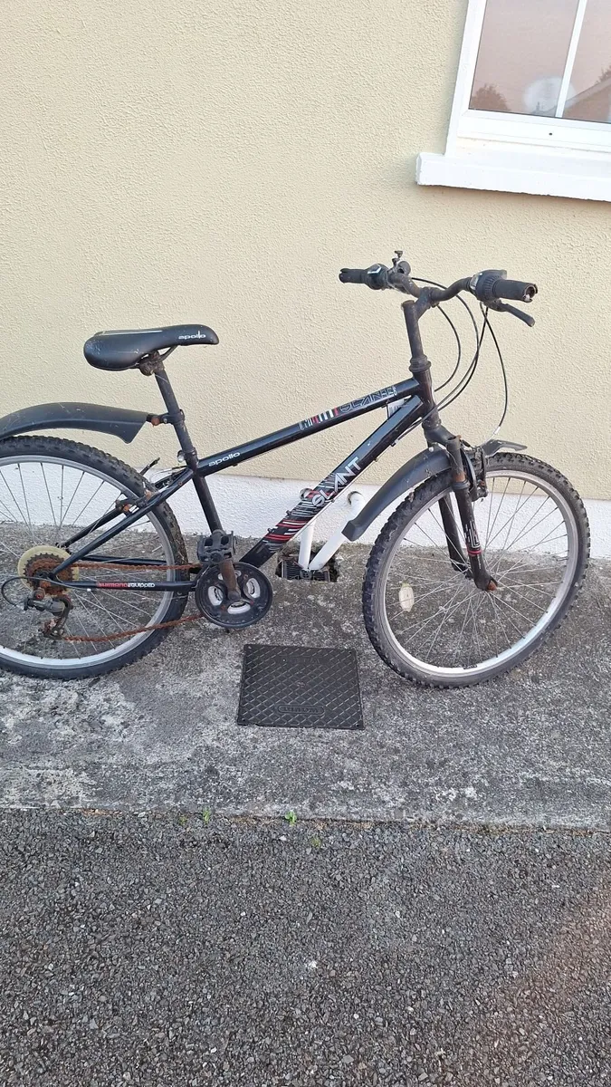 Male Bicycles - Image 2