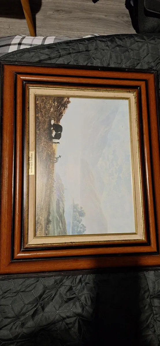 Picture - Image 2