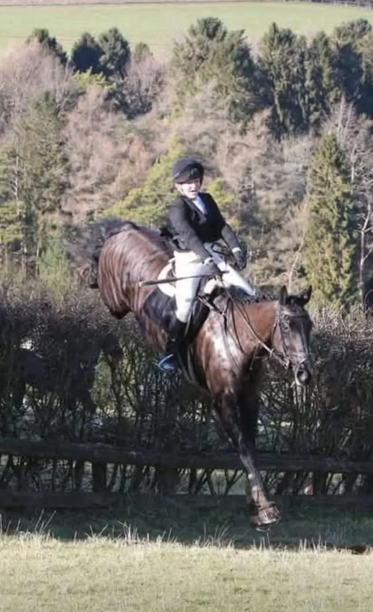 Allrounder/hunter - Image 1