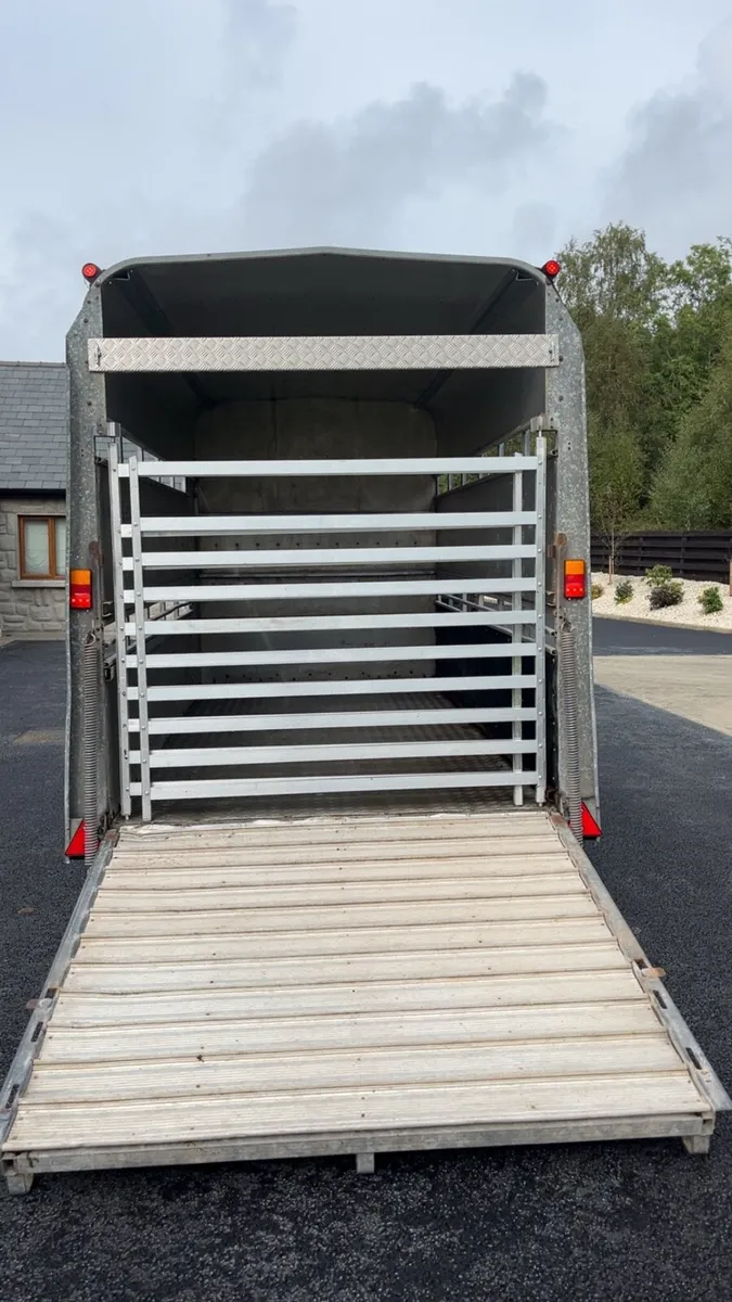 High roof cattle horse box - Image 2