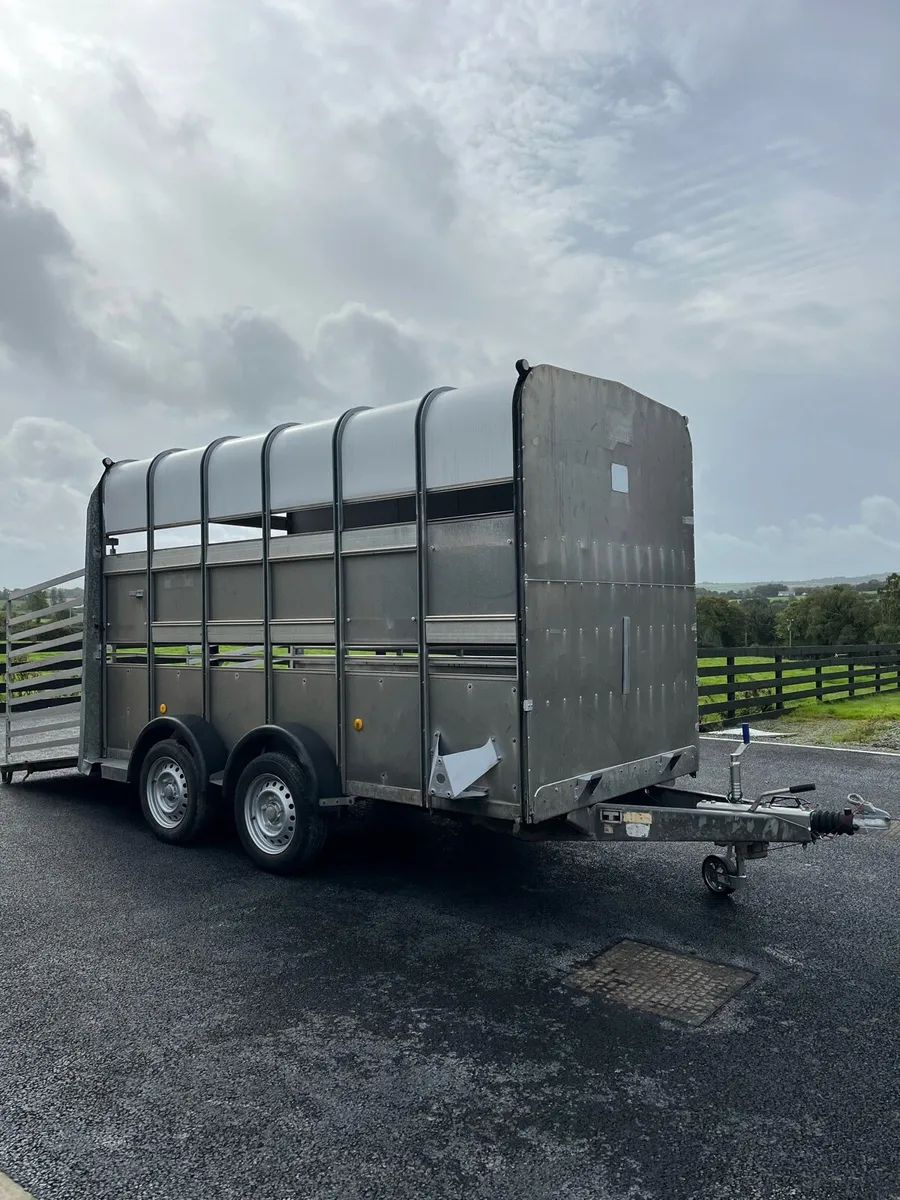 High roof cattle horse box - Image 4