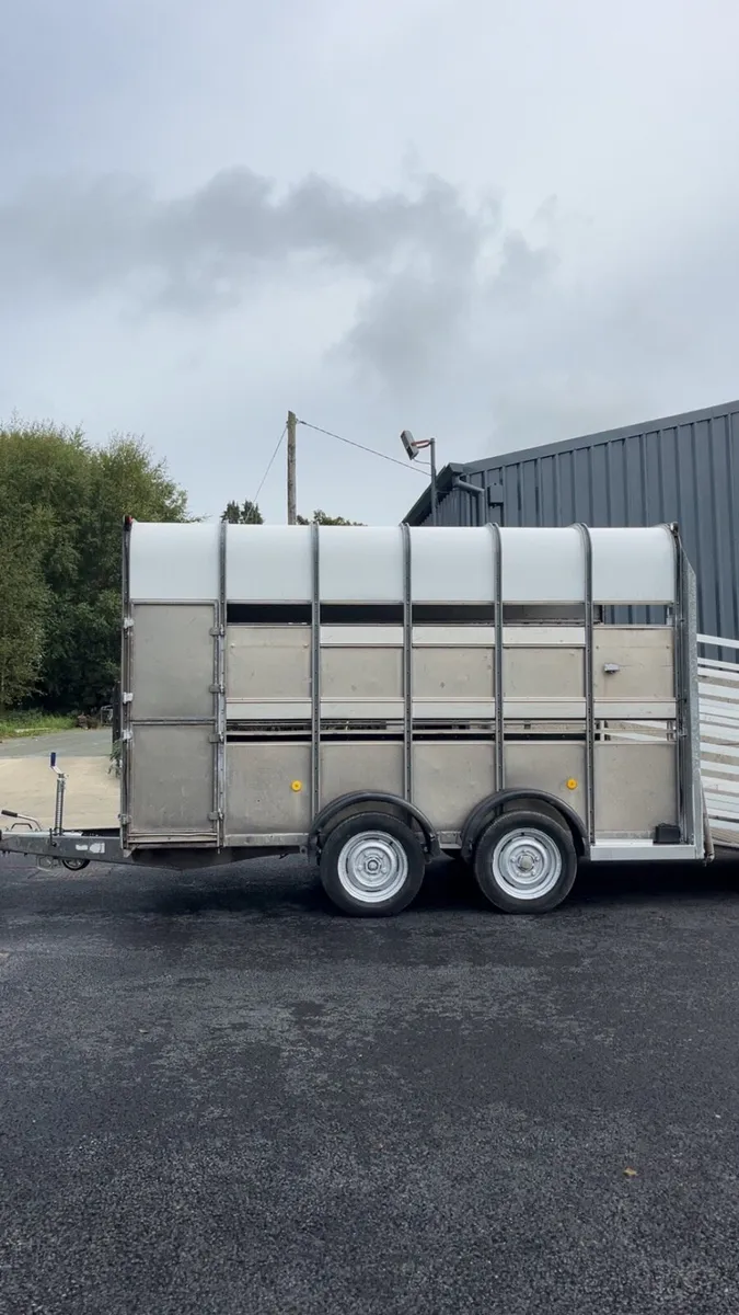 High roof cattle horse box - Image 1