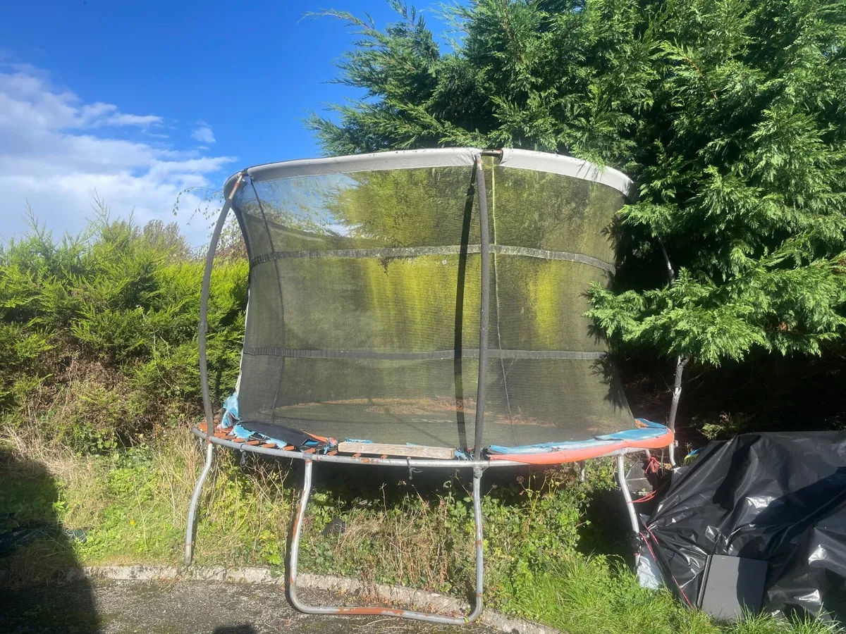 Trampoline - Image 4