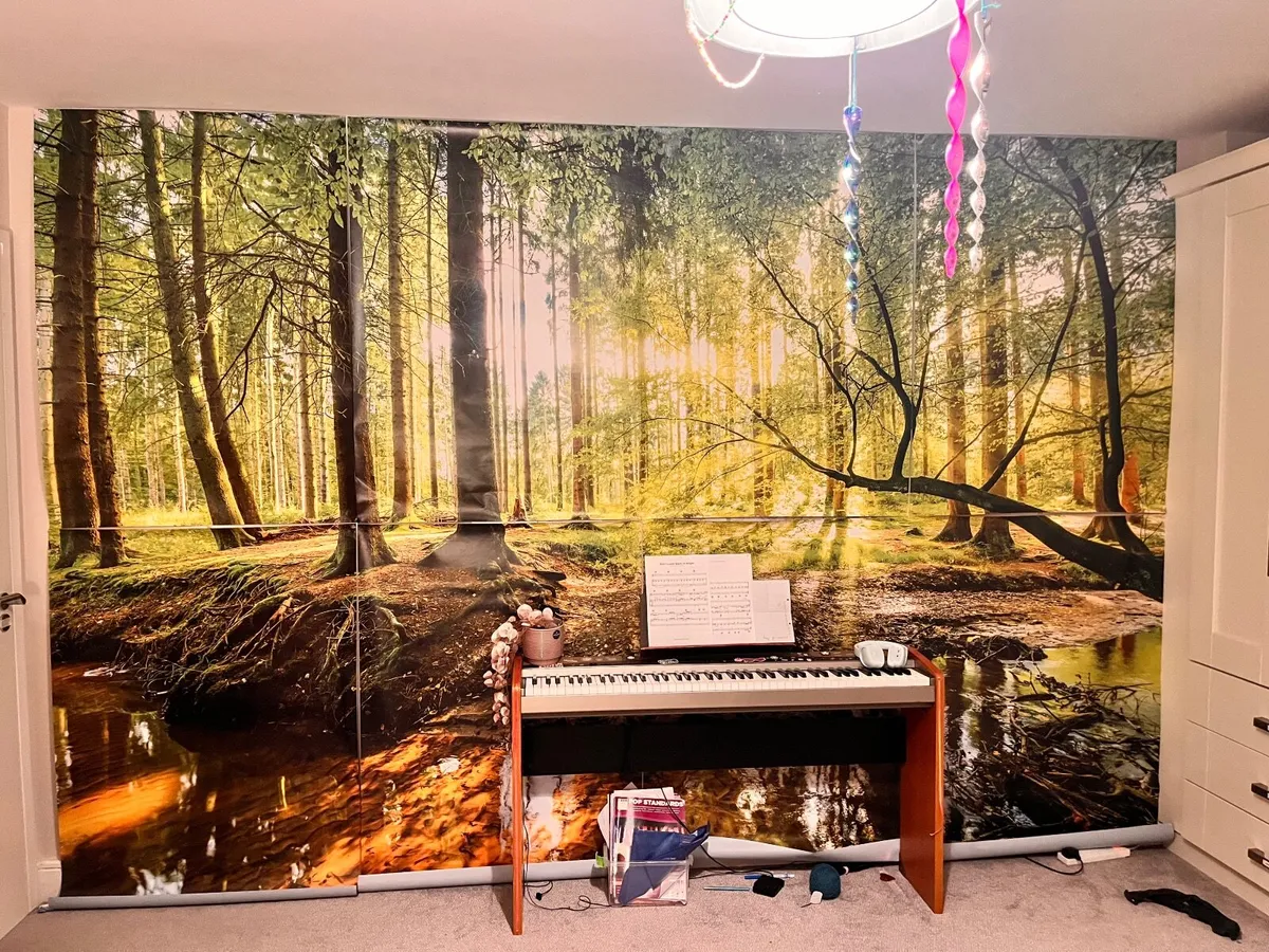 Wallpaper Mural - Forest woodland
