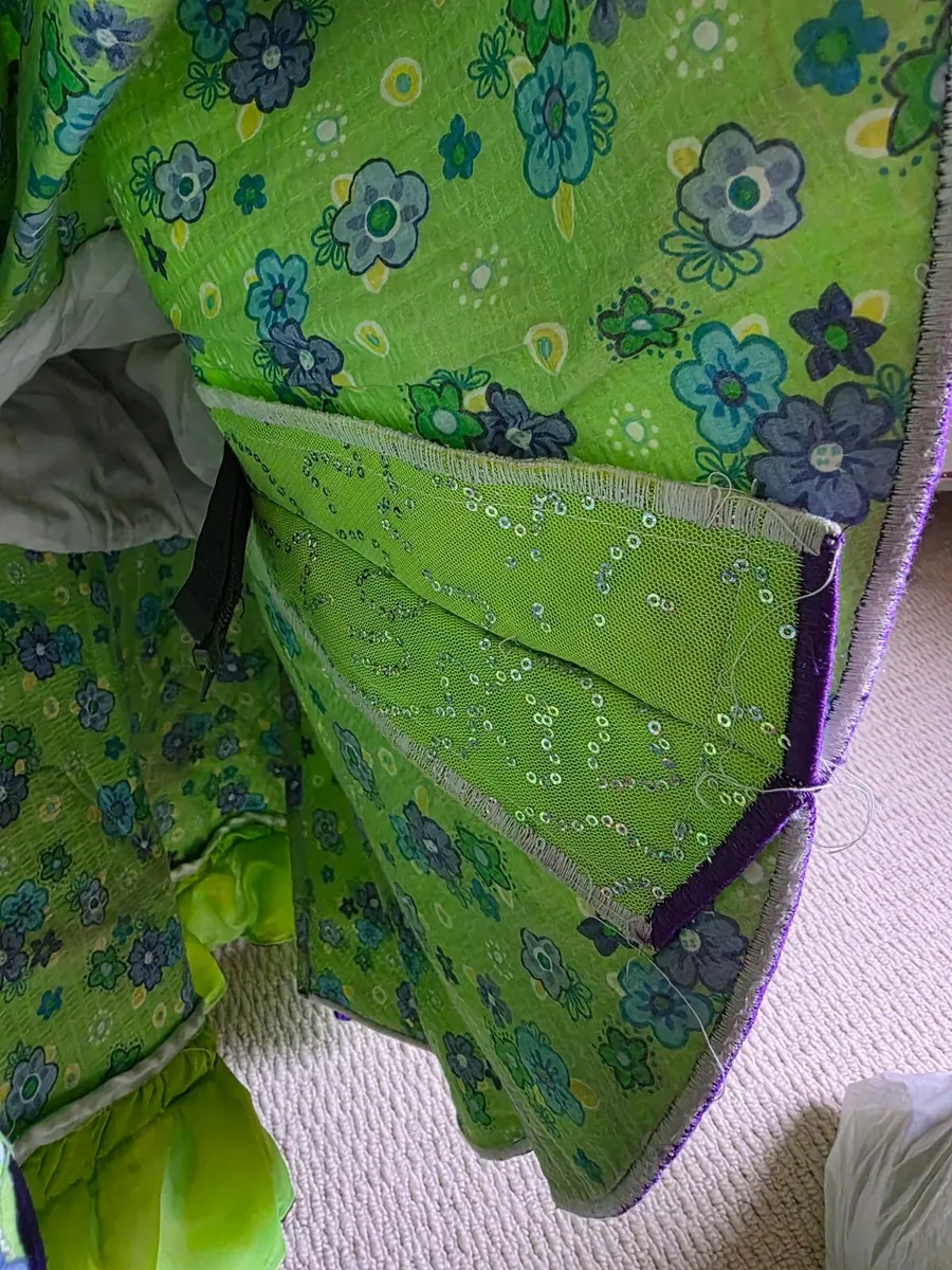 Irish Dancing Dress - Image 4