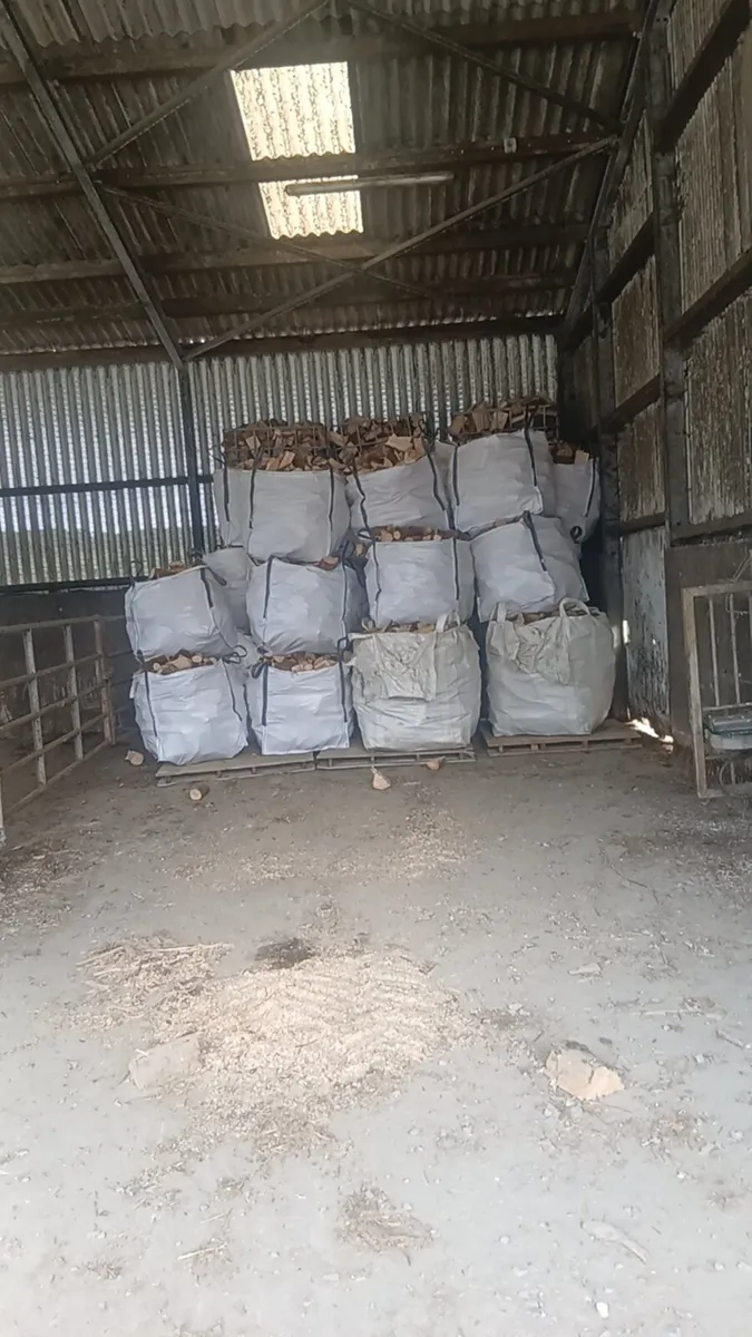 Firewood - Image 2
