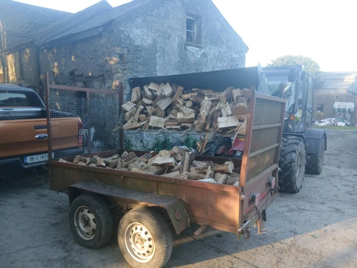 Firewood - Image 3
