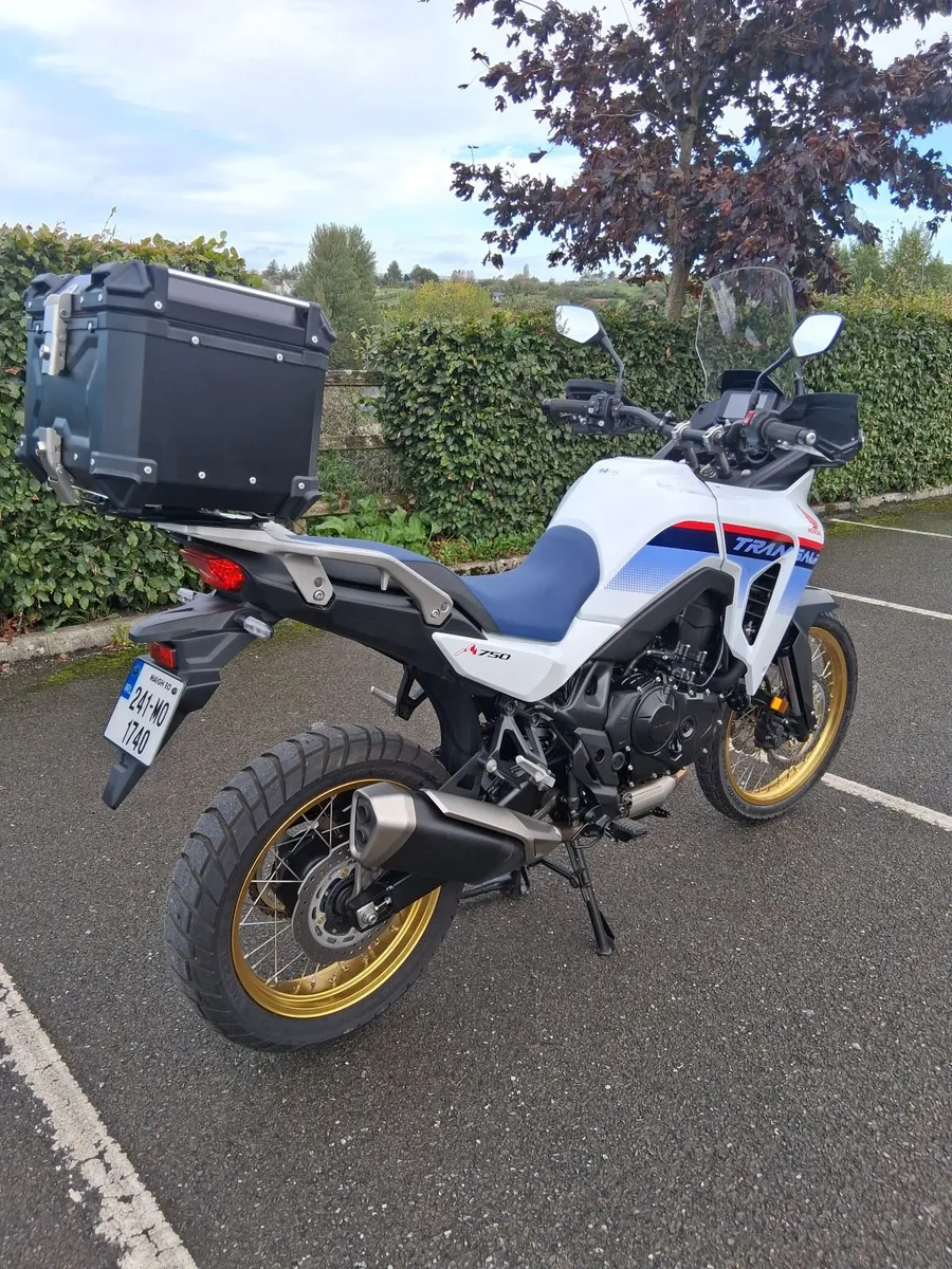 241 Honda Transalp XL 750  very clean - Image 3