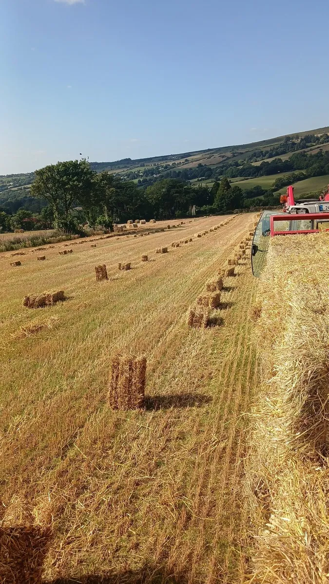 Hay round bales, straw & hay small square bales - Image 2