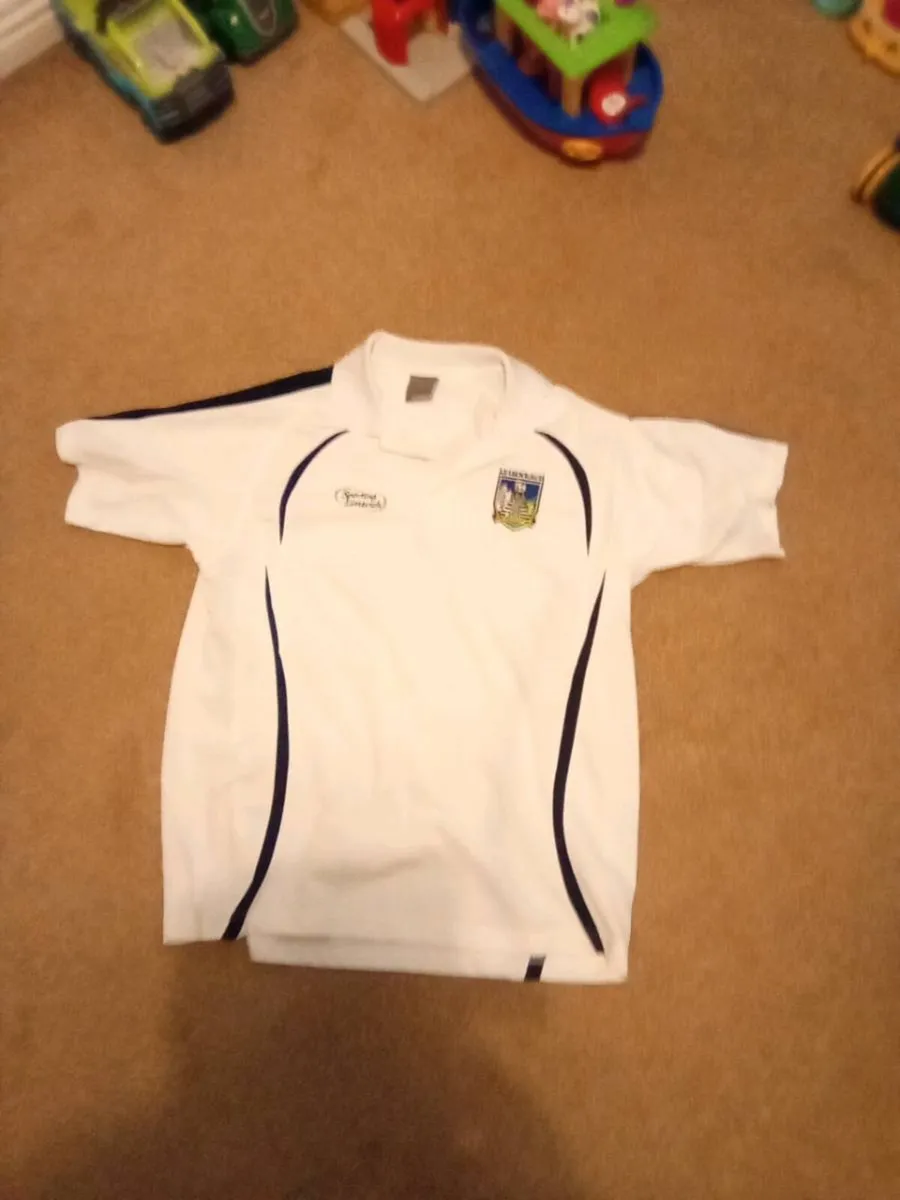 LARGE. LIMERICK. POLO. SHIRT. AND.  SHORTS - Image 2