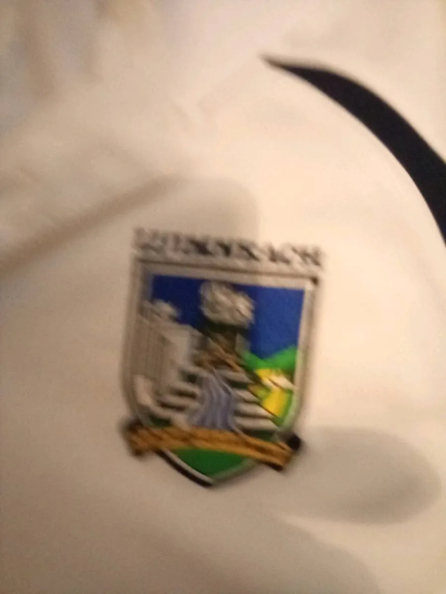 LARGE. LIMERICK. POLO. SHIRT. AND.  SHORTS - Image 3