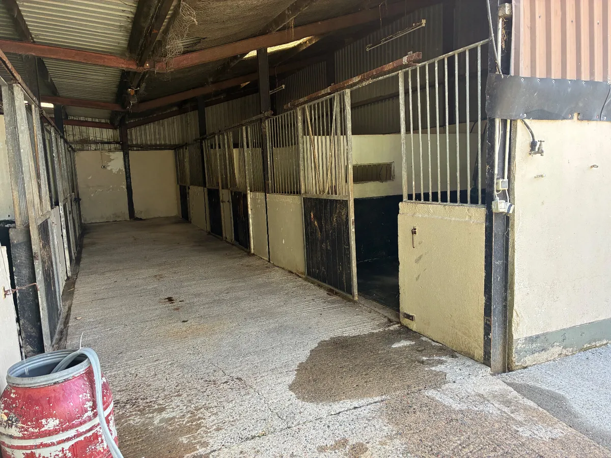 12 Stables to rent private setting - Image 4