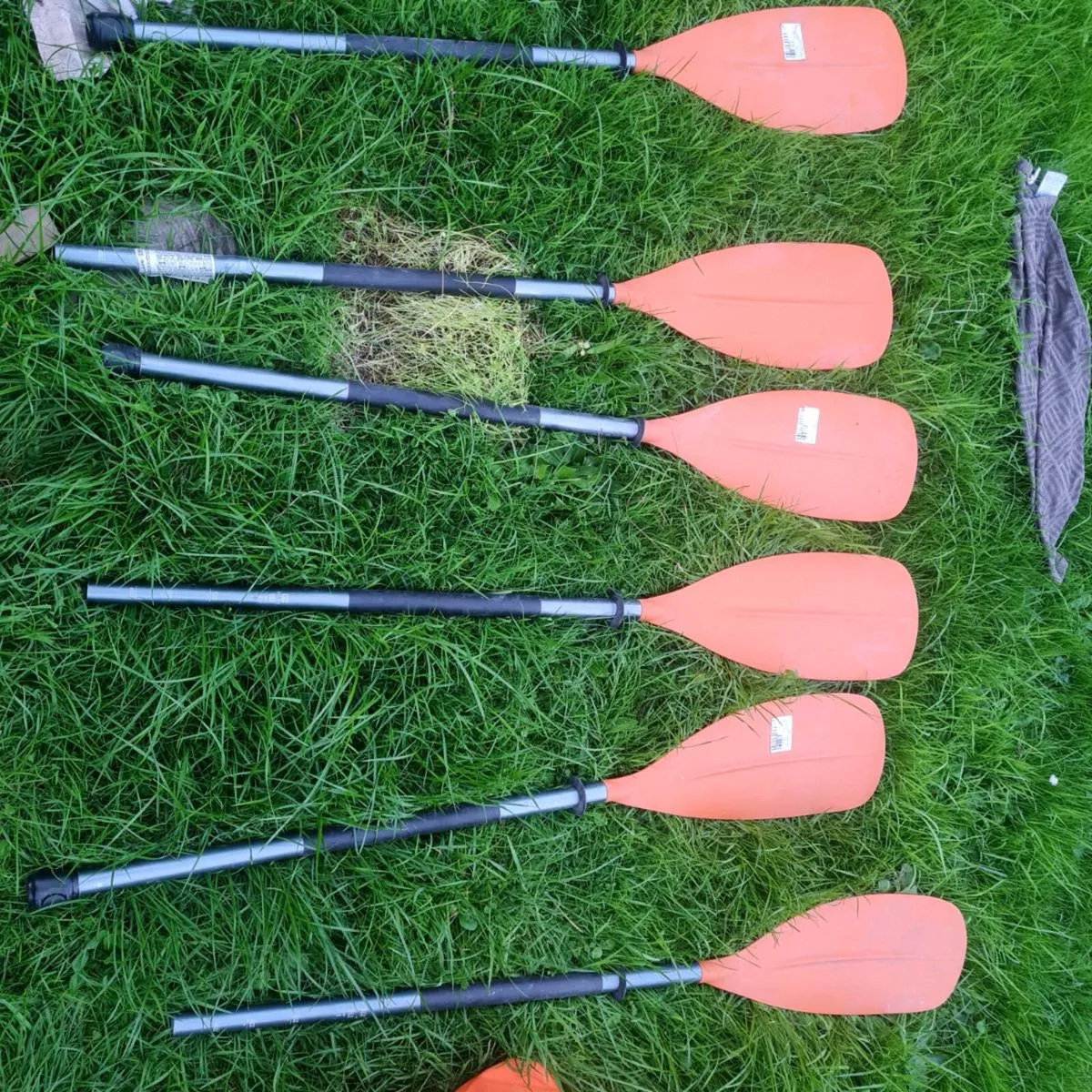 Kayaks - Image 1