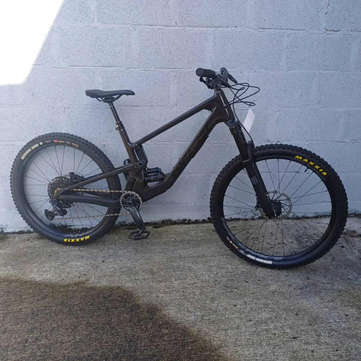 Santa Cruz 5010. Size L. New. - Image 1