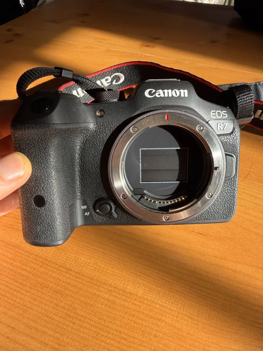 Canon EOS R7 + Sigma 24-105mm + Accessories - Image 1
