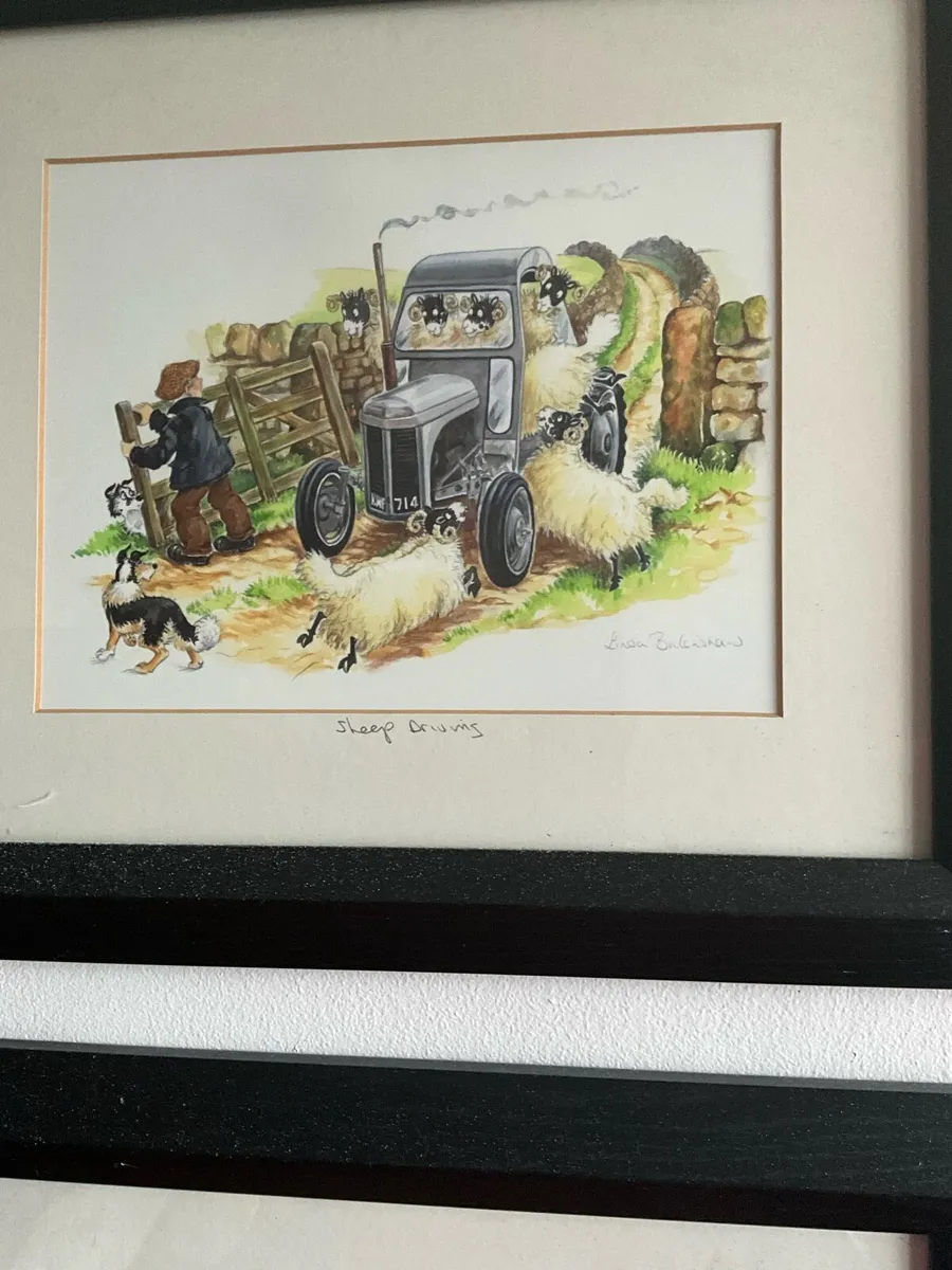 ‘Cat Nap’ & Sheep Driving by Linda Birkinshaw - Image 2