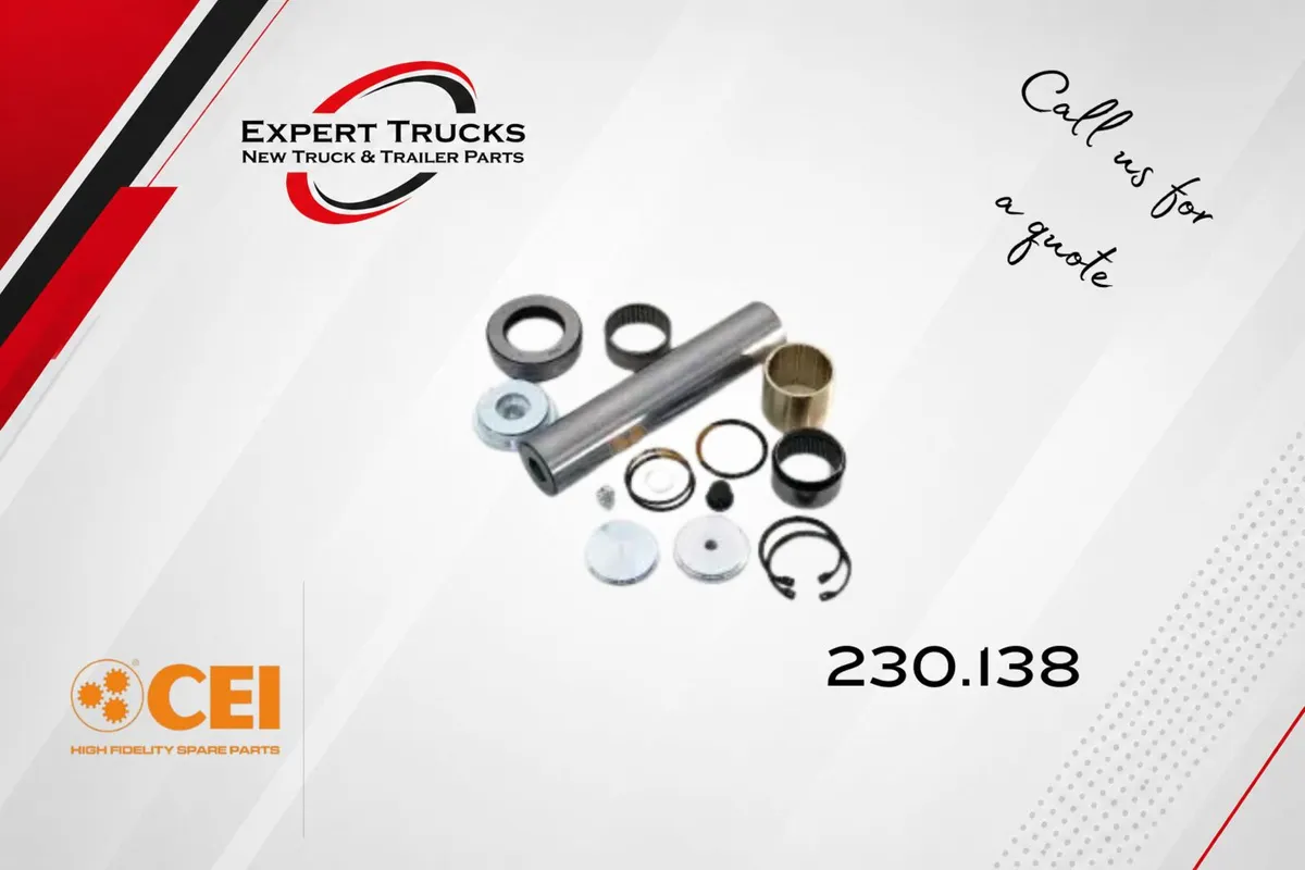 VOLVO REN KING PIN PER HUB (CEI)