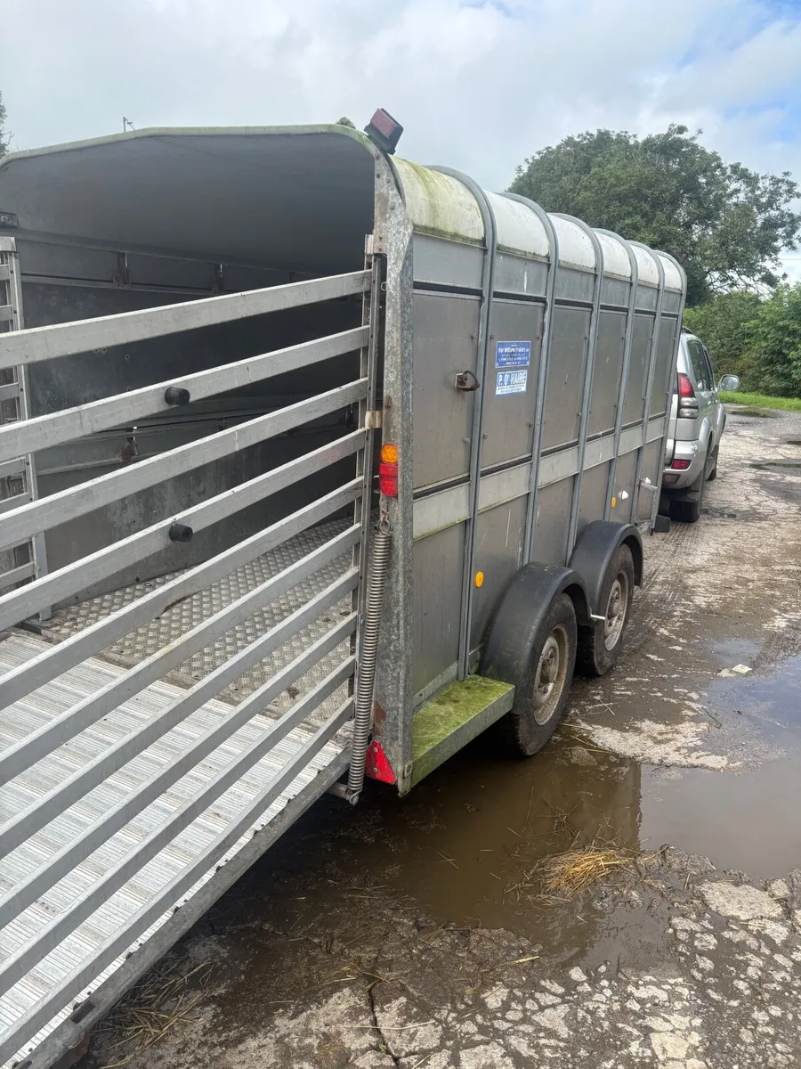 Trailer - Image 1
