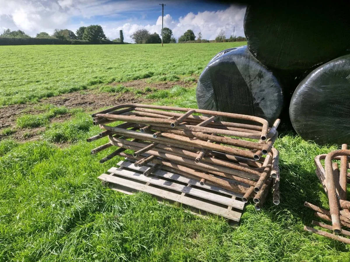 Newton Rigg cubicles - Image 3