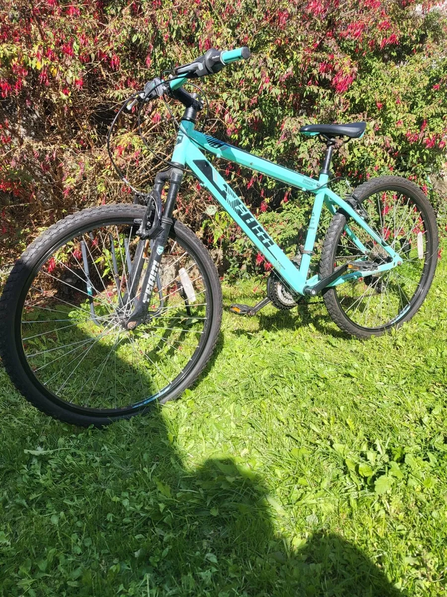 Mountain bike - Image 1